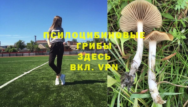 кристаллы Алексеевка