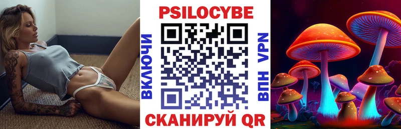Псилоцибиновые грибы ЛСД купить сайты Камешково